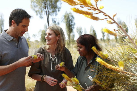 Ayers Rock Campground - Darwin Tourism 2