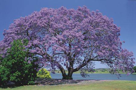 Belvoir B & B Cottages - Darwin Tourism 3
