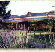 Bluebush Estate - Darwin Tourism