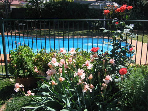 Country Apartments - Darwin Tourism 4