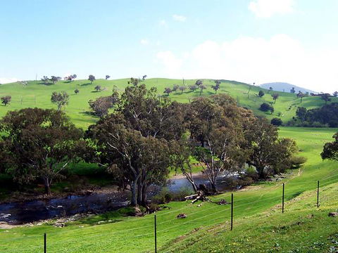 Elm Cottage - Tumut - Darwin Tourism 4