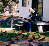 Inland Waters Holiday Parks Burrinjuck - Darwin Tourism