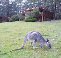 Jenolan Caves Cottages - Darwin Tourism