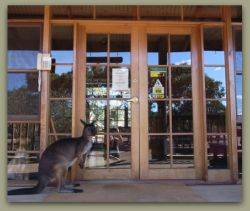 Kangaroo Island Wilderness Retreat - Darwin Tourism 1