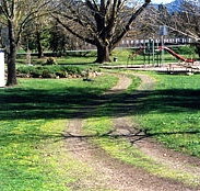 Mongans Bridge Camping Park - Darwin Tourism
