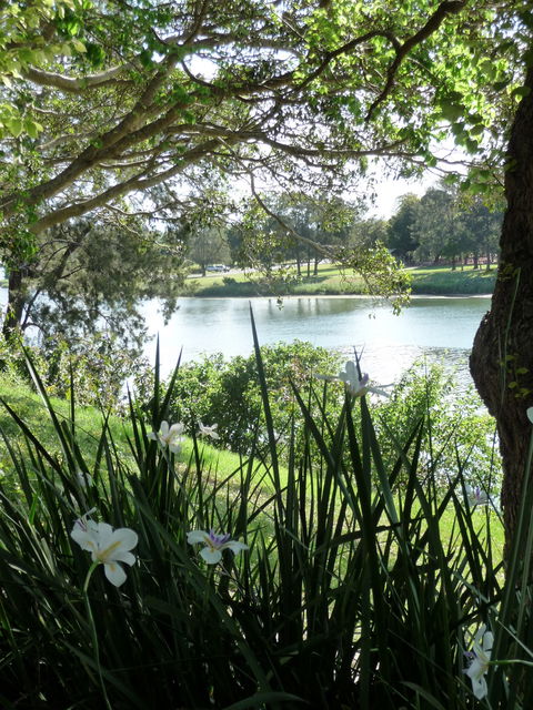 Netherby House - Darwin Tourism 6
