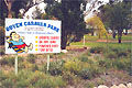 Ouyen Caravan Park - Darwin Tourism 0