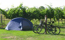 Active Holidays BIG4 Hunter Valley - Darwin Tourism 4
