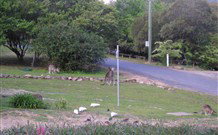 Burrinjuck Waters Holiday Park Accommodation - Darwin Tourism 2