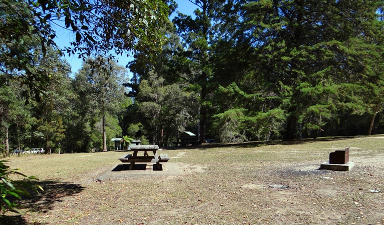 North Arm NSW Darwin Tourism