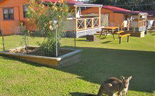 Durras Lake North Holiday Park - Darwin Tourism 1