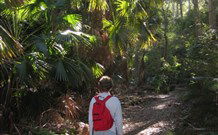Durras Lake North Holiday Park - Darwin Tourism 7