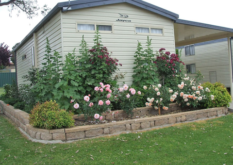 Walcha Caravan Park - Darwin Tourism 3
