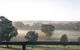 Settlers Rest Farmstay Swan Valley - thumb 3