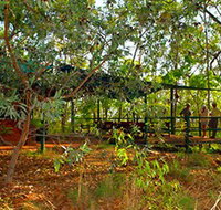 Arnhemland Barramundi Nature Lodge - Darwin Tourism