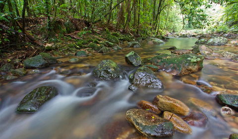 Iron Pot Creek Campground - Darwin Tourism 2