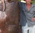 Michael's Clarence Valley Retreat - Darwin Tourism
