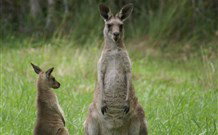Michael's Clarence Valley Retreat - Darwin Tourism 7