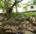 Mt Warning Rainforest Park - Darwin Tourism