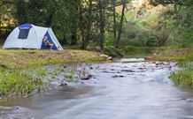 Nymboida Canoe Centre - Darwin Tourism 0