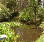 Tallowood Ridge B and B - Darwin Tourism