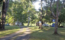 The Channon Village Campground - Darwin Tourism 0