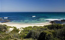 Ulladulla Headland Holiday Haven - Darwin Tourism 1