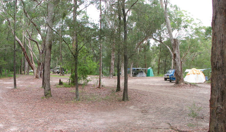 Wallingat NSW Darwin Tourism