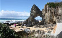 Narooma YHA - Narooma - Darwin Tourism 5