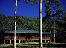 Dungog NSW Darwin Tourism