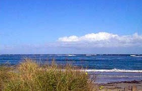 Carleton Inn - Darwin Tourism 2