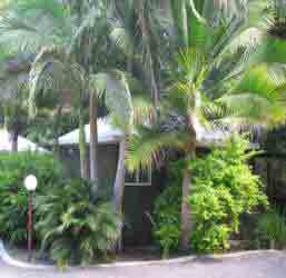 Nambour Rainforest Holiday Village - Darwin Tourism 1