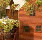 Barrington Tops Organic Retreat - Darwin Tourism