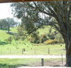 Hosanna Farm Retreat - Darwin Tourism