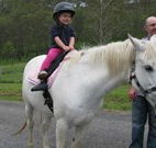Mansfield Cottage Barrington Tops Accommodation - Darwin Tourism