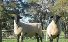 Red Hill Organics Farmstay - Darwin Tourism 7