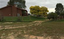 The Art Shack - Darwin Tourism 4
