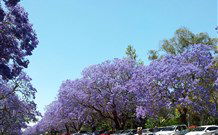 Andavine House Bed And Breakfast - Darwin Tourism 5