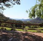 Cedar Grove - - Darwin Tourism