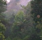 Havans Ecotourist Retreat - - Darwin Tourism