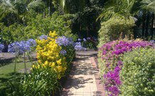 Wamberal Cottage - Darwin Tourism 7