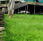 Snowy Valley Resort - Darwin Tourism