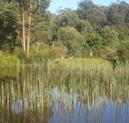 Fosterton Lodge Retreat - Darwin Tourism