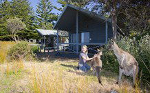Norman Lindsay Cottage - Darwin Tourism 9