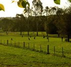 Stone Cottage Mittagong - Darwin Tourism