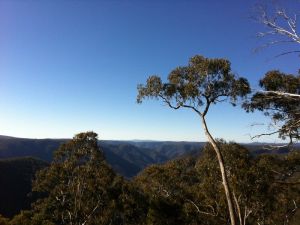 Cheyenne Wilderness Farmstay - Darwin Tourism 5