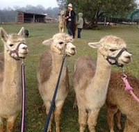 Bunyip Springs Farmstay - Darwin Tourism