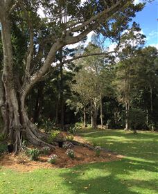 Beechmont Retreat - Darwin Tourism 0