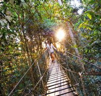 O'Reilly's Rainforest Retreat - Darwin Tourism
