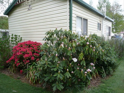 Jenolan Caravan Park - Darwin Tourism 1